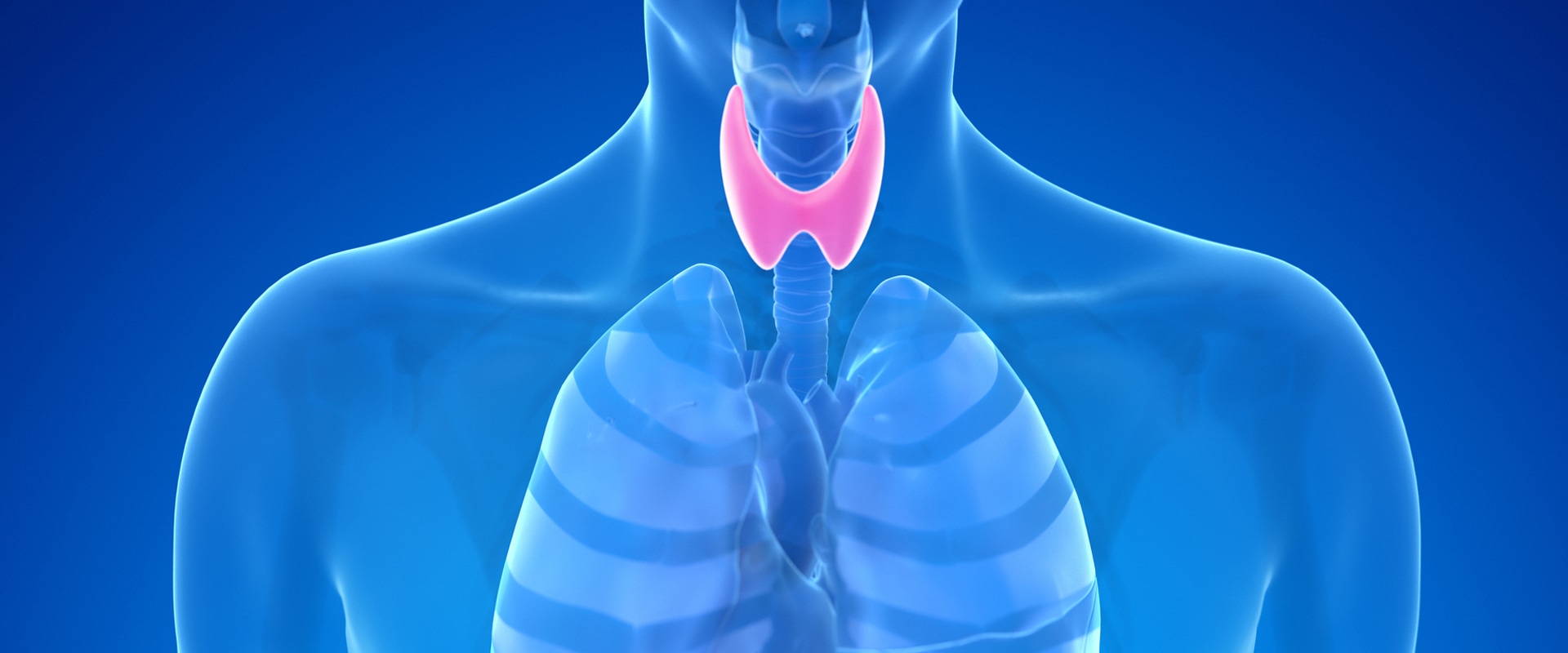 The Essential Role of Iodine in Thyroid Health: Understanding Iodine Supplement Benefits